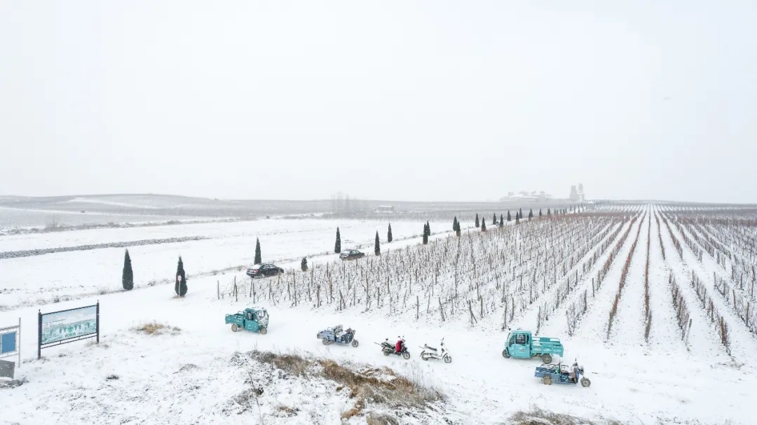 九頂莊園 | 雪，是自然送給大地的情書