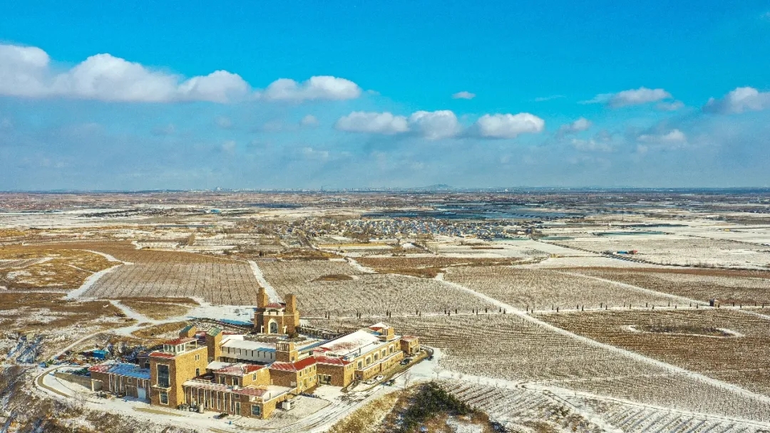 九頂莊園 | 雪，是自然送給大地的情書