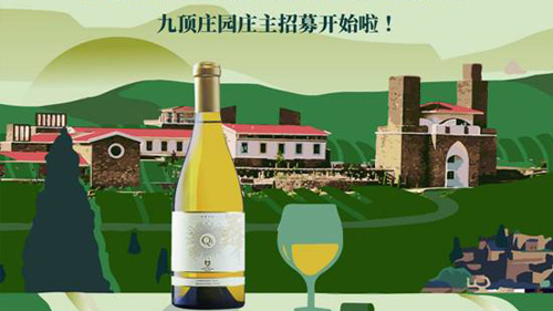 九頂莊園莊主招募開始啦！